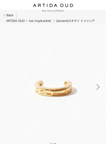 [ 새상품 ] ARTIDA IUD [ancient] 스키타이 토링