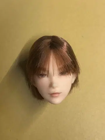 6분의 1 남자 도감 아이보리 피부 커스텀 에이트 헤드만