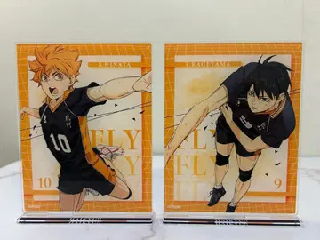 하이큐!! 아크릴 스탠드 히나타 쇼요 카게야마 토비오