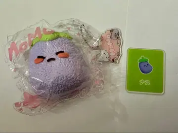 MOMO 스퀴즈 가지