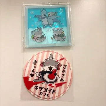 외출 아기상어 코스터 세트