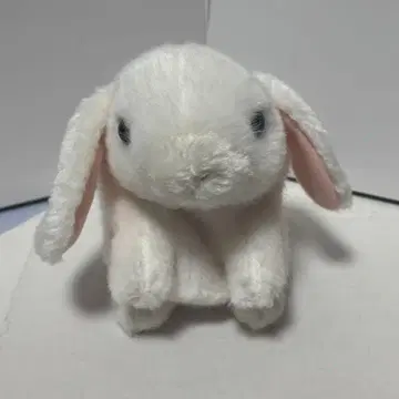미미 밤 반려동물 토끼 봉제 인형