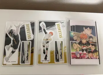 하이큐 카게야마 토비오 히나타 쇼요 SV 리그 아크릴 스탠드