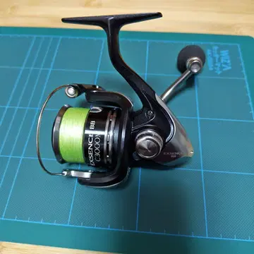 12 EXSENCE BB C3000M