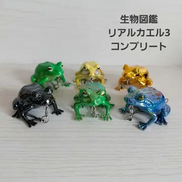 생물도감 리얼 개구리 3 피규어 스트랩 컴플리트 6종 세트