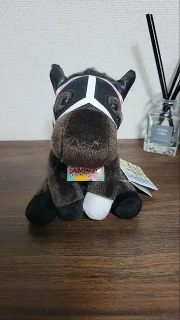 아이돌 호스 셀렉션 스테이 골드 홍콩 바즈 m 사이즈