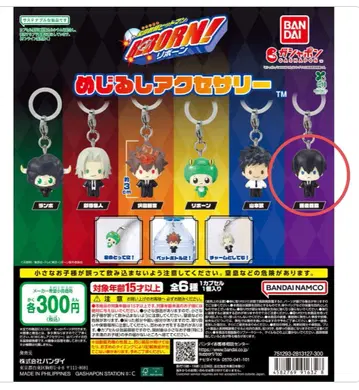 가정교사 히트맨 REBORN 메지루시 액세서리 피규어 봉고레 반지