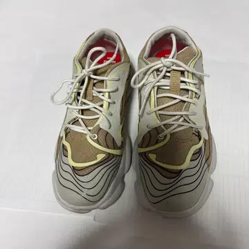 캠퍼 camper 카스트 38