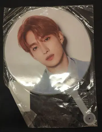 SEVENTEEN 2021 IN-COMPLETE DK 이미지 피켓 DK