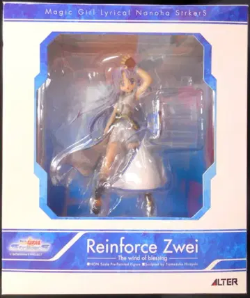 알터 나노하 STRIKERS 리인포스 II