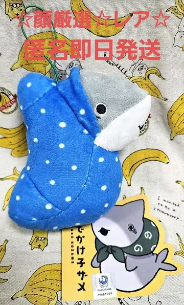 [익명 당일 발송] 외출 아기상어 마스코트 봉제 인형 가오리 싸개