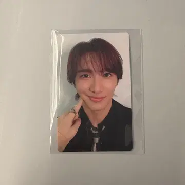 사쿠라기 마사야 서로 찍어주기 트레이딩 카드