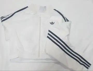 아디컬러 저지 / 트랙 자켓 / 아디다스 오리지널스