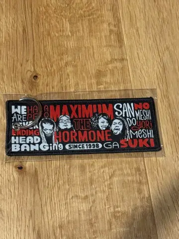 맥시멈 더 호르몬 MTH U.S.POP 플라이트 택