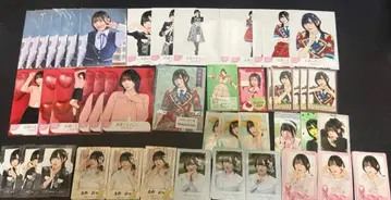 타카네노 나데시코 하루노 리리 세트