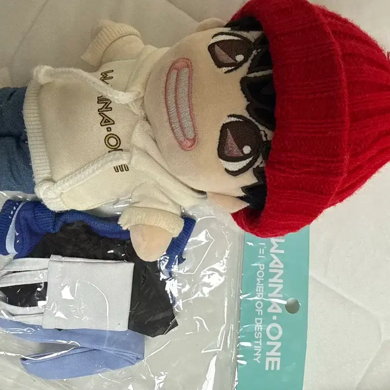 박지훈 공식 인형