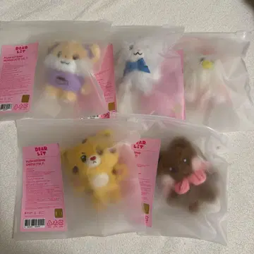 ILLIT 2주년 기념 Plush 키링 컴프