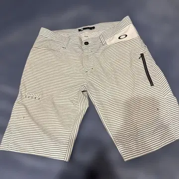 Oakley 스트라이프 남성 바지 34