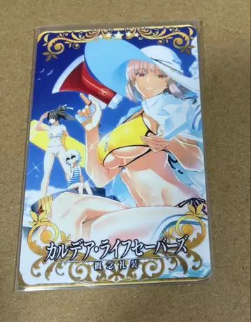 fgoac 예복 칼데아 라이프세이버즈 노멀