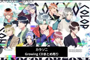 카라소니 CD 묶음 판매 2