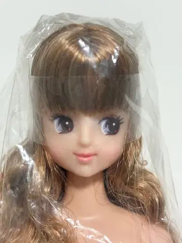 리카짱 캐슬 제니 프렌드 오타노시미 인형 주디