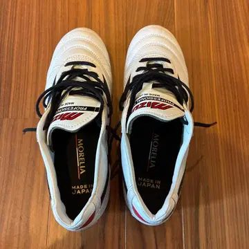 미즈노 모렐리아 축구화