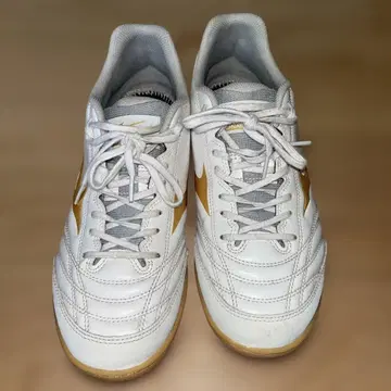 미즈노 모나르시다 네오 축구화