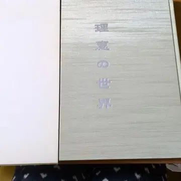 이상적인 세계 모리 리에