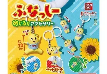 컴프 후낫시 메지루시 액세서리 전 5종 세트