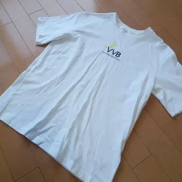 VVB 빅토리아 베컴 클리어 T셔츠