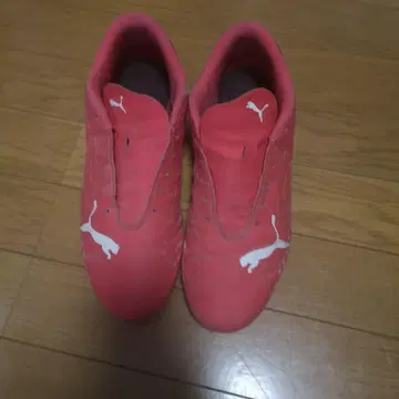 Puma Ultra 핑크/파랑 축구화