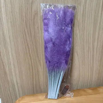 여왕벌 줄리 부채 늘어진 등나무 야천결행 HYPERBLACK LOVE