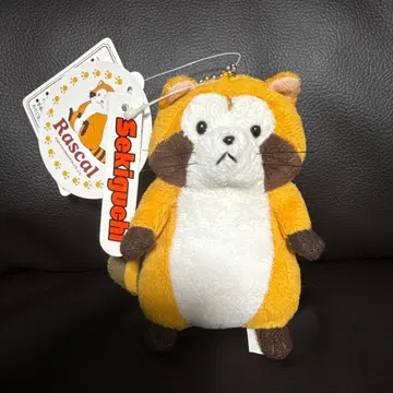 너구리 라스칼 마스코트 키체인 봉제 인형 세키구치