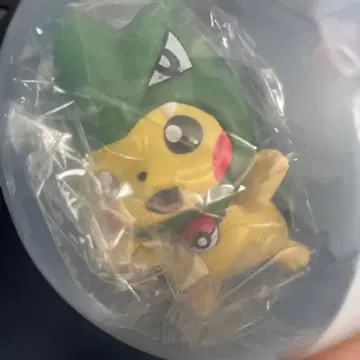 포켓몬스터 판초를 입은 피카츄 뱅기라스?