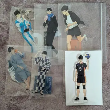 하이큐 카게야마 토비오 아크릴 스탠드 아크릴 키링 세트