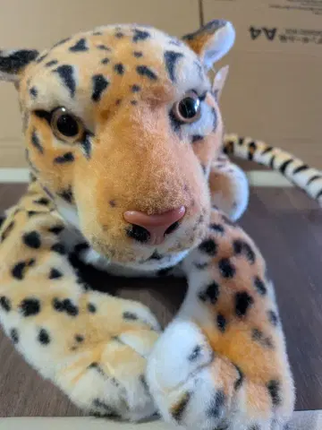 레오파드 무늬 티슈 케이스