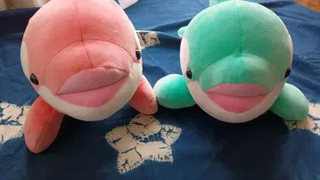 스마 월드 오르카 복권 사쿠라 아오바 3등 2개