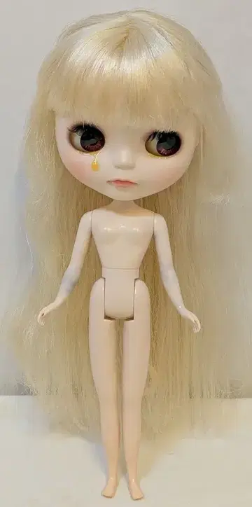 네오 브라이스 @nai님 커스텀 브라이스 2013년 눈물 커스텀