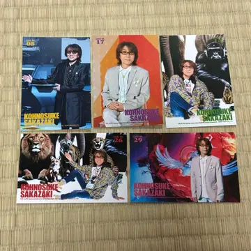 더 알피 2026 봄 트레이딩 카드 사카자키 유노스케