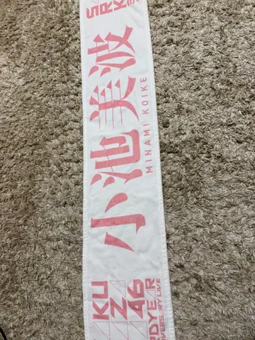 코이케 미나미 타월 사쿠라자카