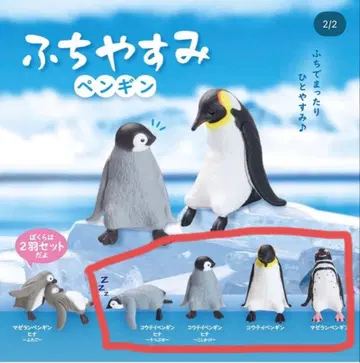 후치야스미 펭귄 피규어 4종 세트 (빨간색 마루)