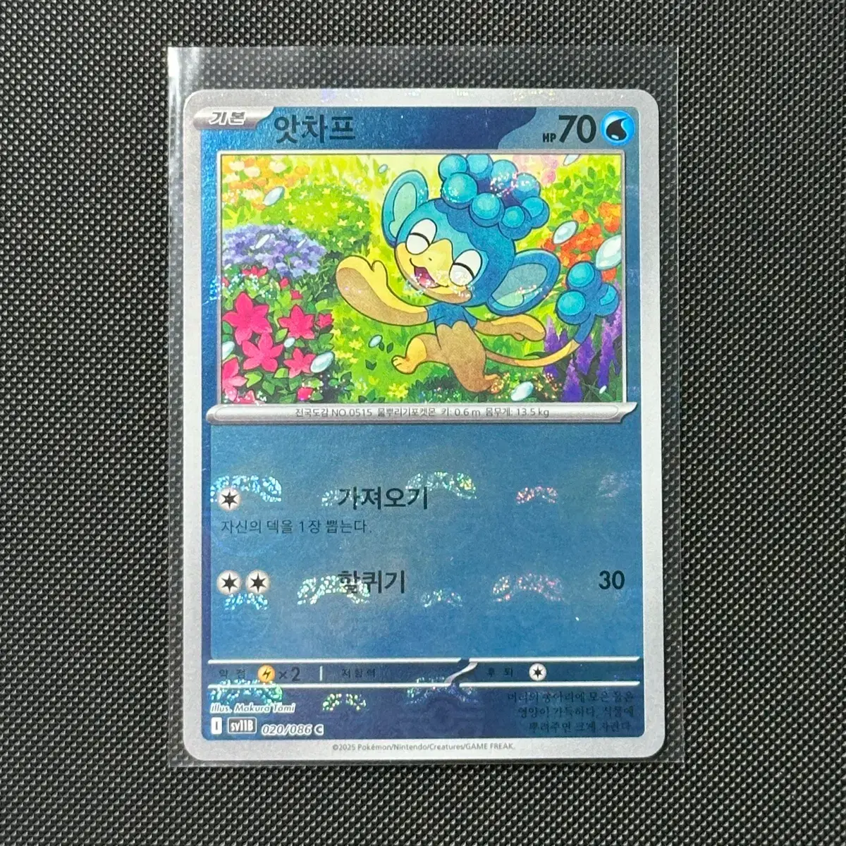 Pokemon Card Black Kyurem White Kyurem Machop Starly Swanna AR #,#ar,#ar,#ar on Bunjang Global Site. Pokemon Card Black Kyurem White Kyurem Machop Starly Swanna AR #,#ar,#ar,#ar on Bunjang Global Site.