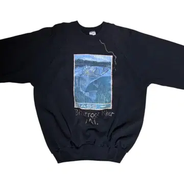 90s FRUIT OF THE LOOM 그래픽 맨투맨