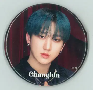 StrayKids 2024 109 XMAS POP UP 창빈 캔뱃지 A