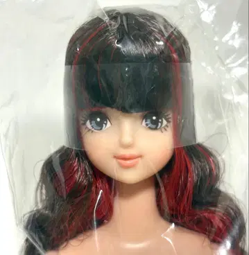 리카짱 캐슬 제니 프렌드 오타노시미 인형 사야카 블랙 레드