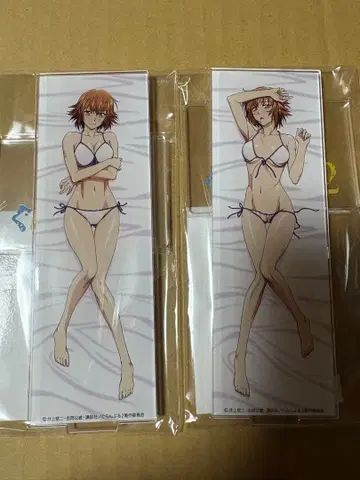 그랑블루 MIOS 한정판 아크릴 스탠드 코테가와 치사