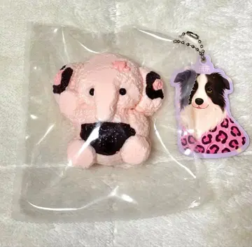 점점 스퀴즈 [ 팬츠 코끼리 ] 레오파드 무늬