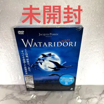 미개봉 WATARIDORI 컬렉터즈 에디션 DVD