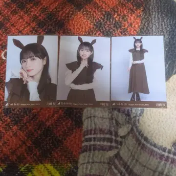 노기자카46 경자년 말띠 카와사키 사쿠라