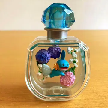 포켓몬 리멘트 푸치 플뢰르 물짱이 PETITE FLEUR